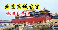 粉嫩骚逼又紧水又多-Porn视频中国北京-东城古宫旅游风景区